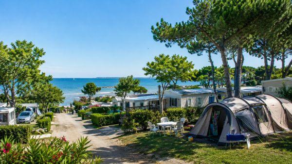 Campings en charente-maritime : un choix varié pour l'été !